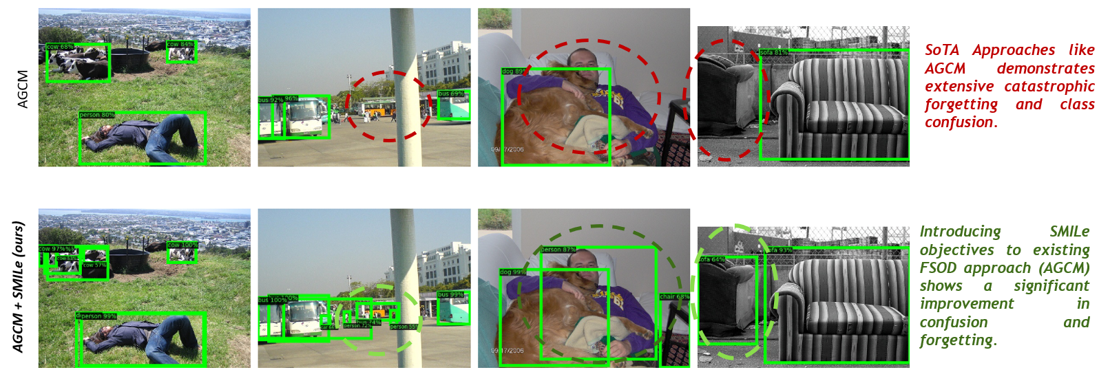 Object Detection Results